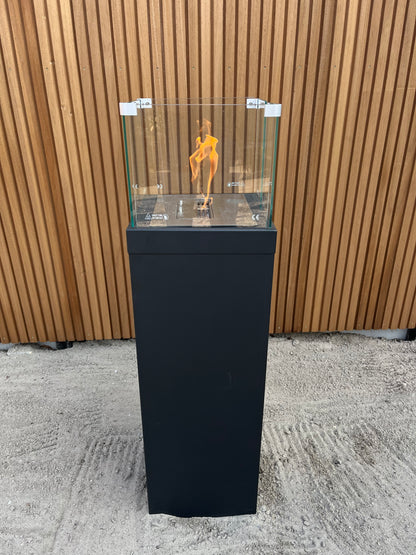 Bio-Ethanol Heater huren